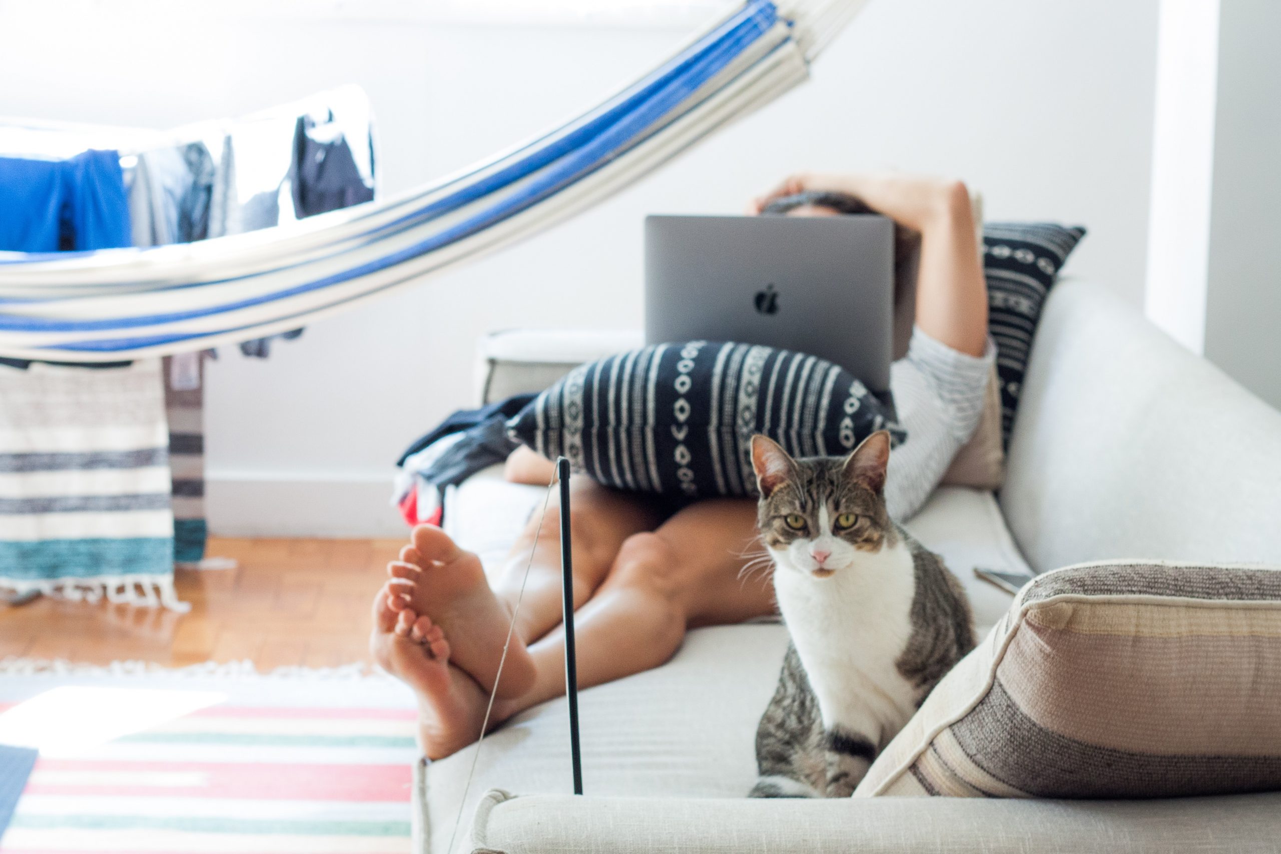 woman-lying-on-sofa-with-cat-in-her-foot-909620